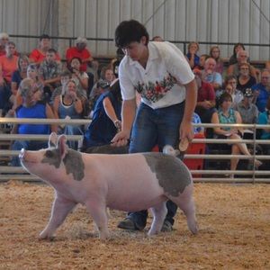 Meet your Posher, John